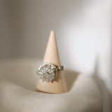 Silver Spinner Ring